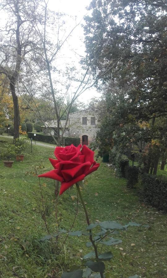 Agriturismo Il Cornalino Castel Viscardo Екстериор снимка