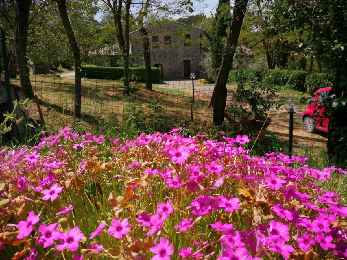Agriturismo Il Cornalino Castel Viscardo Екстериор снимка