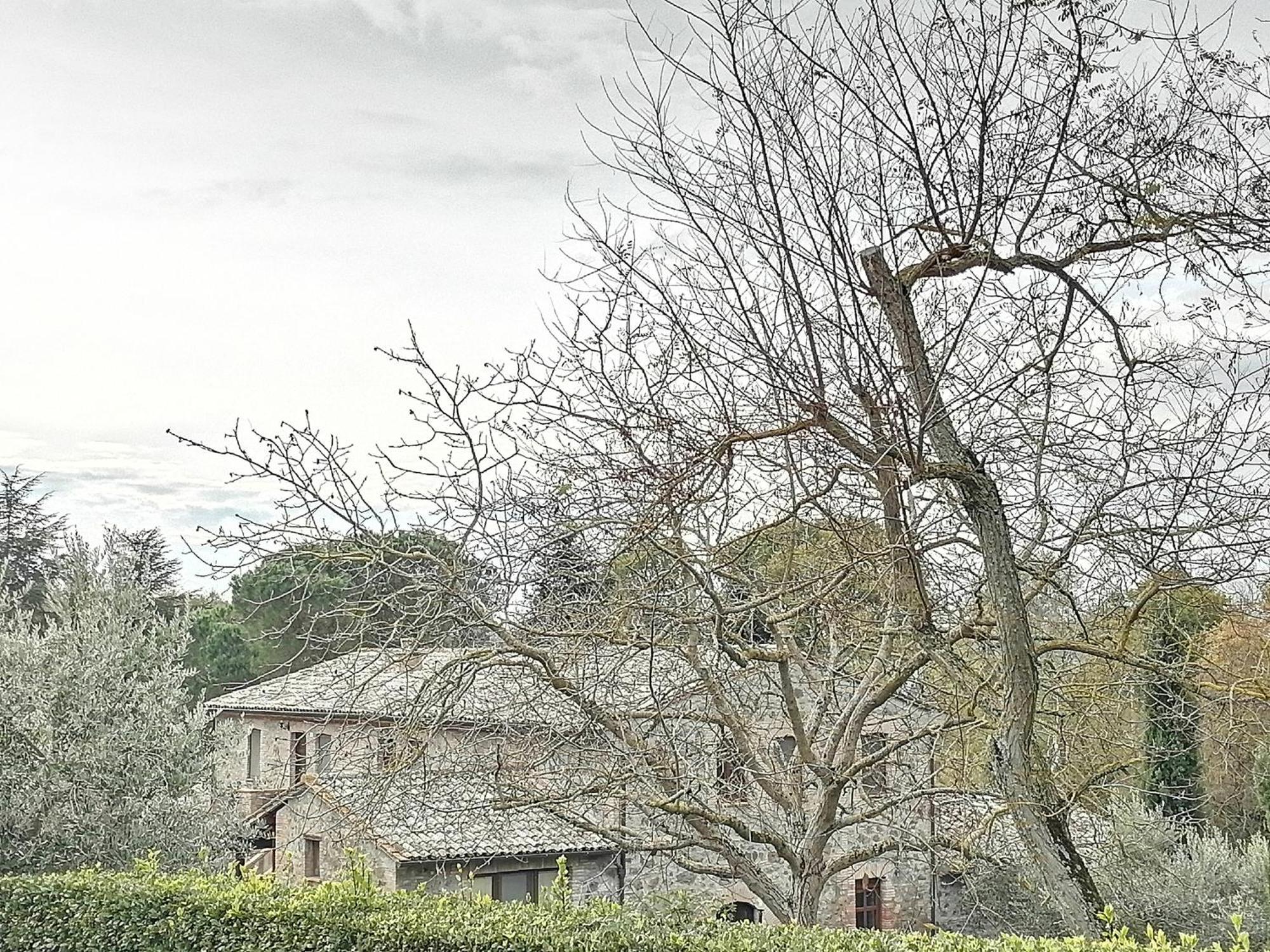 Agriturismo Il Cornalino Castel Viscardo Екстериор снимка