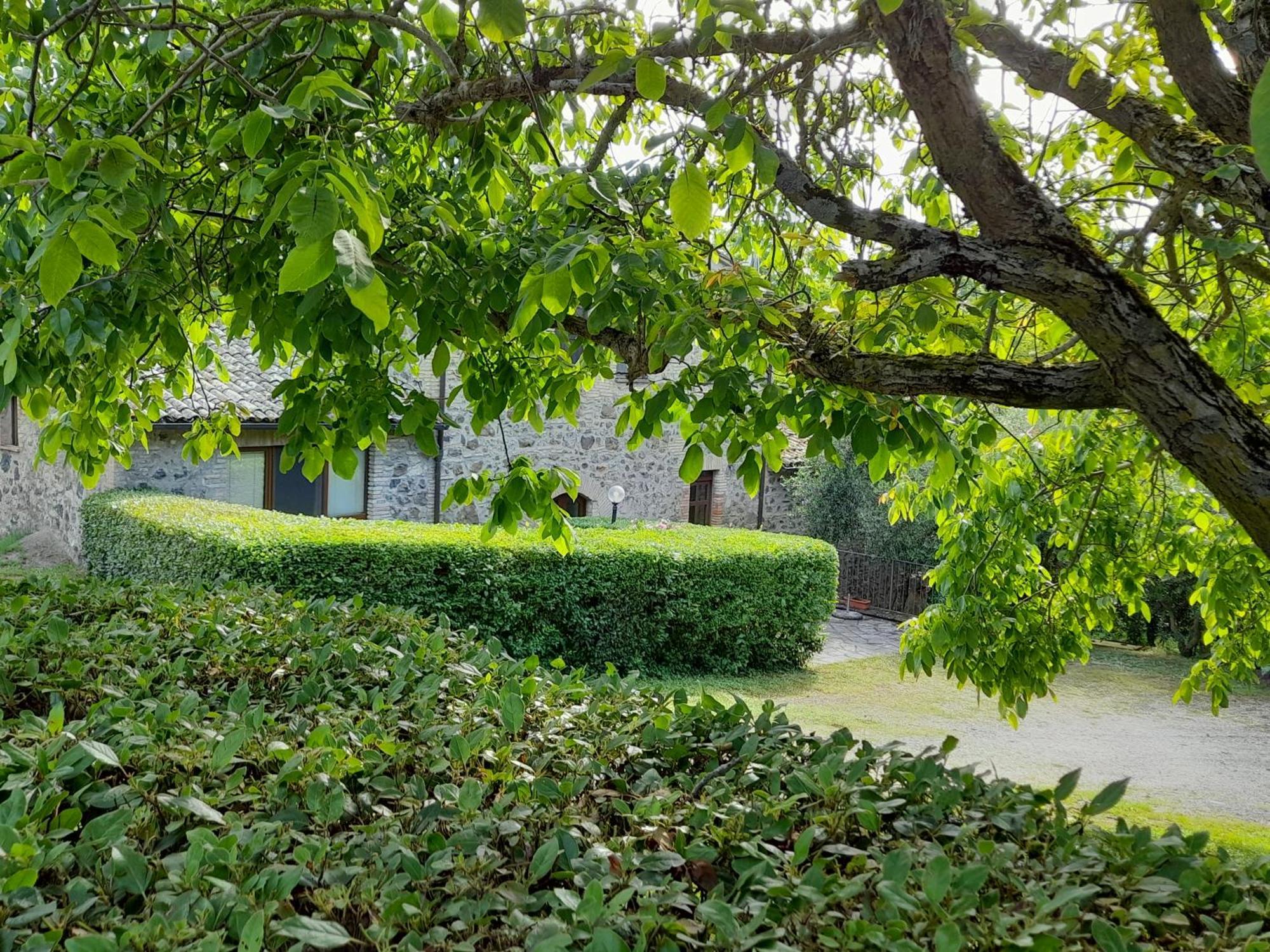 Agriturismo Il Cornalino Castel Viscardo Екстериор снимка