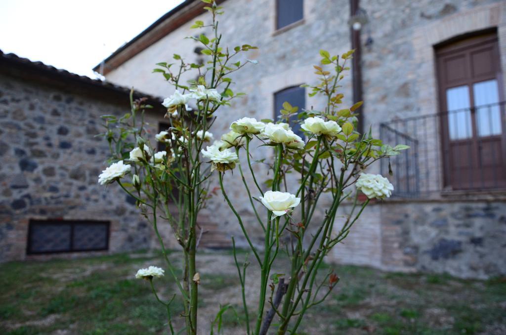 Agriturismo Il Cornalino Castel Viscardo Екстериор снимка